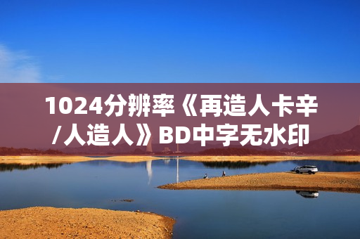 1024分辨率《再造人卡辛/人造人》BD中字无水印