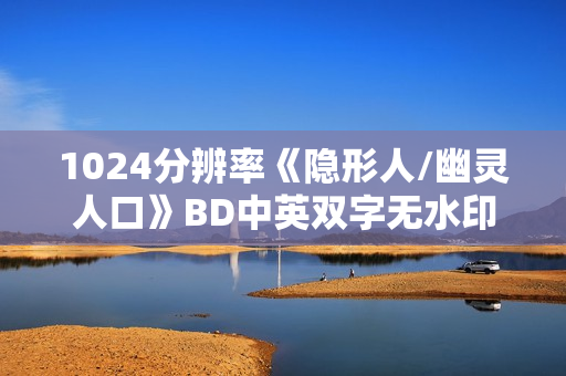 1024分辨率《隐形人/幽灵人口》BD中英双字无水印