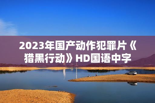 2023年国产动作犯罪片《猎黑行动》HD国语中字