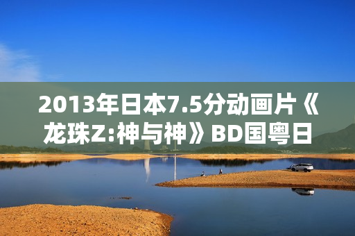 2013年日本7.5分动画片《龙珠Z:神与神》BD国粤日3语中字
