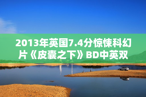 2013年英国7.4分惊悚科幻片《皮囊之下》BD中英双字