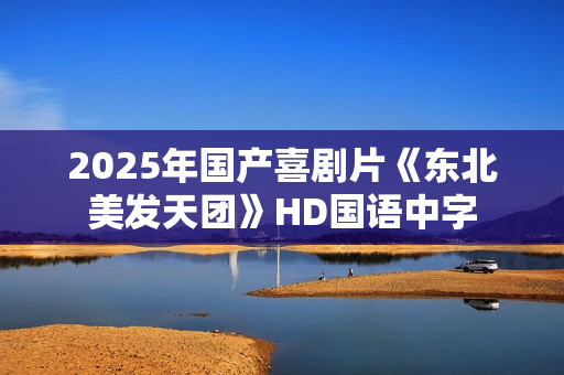 2025年国产喜剧片《东北美发天团》HD国语中字
