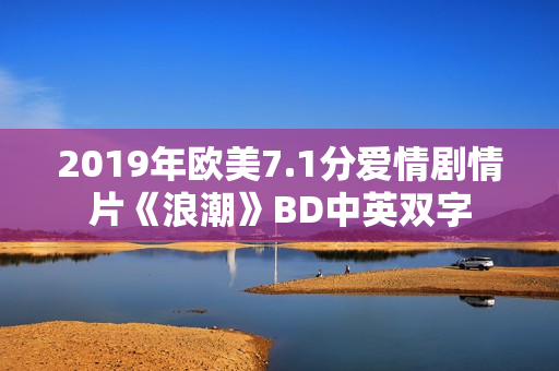 2019年欧美7.1分爱情剧情片《浪潮》BD中英双字