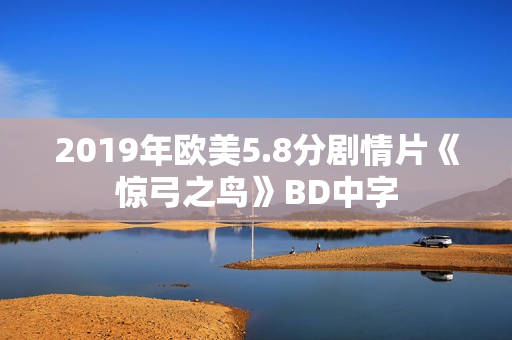2019年欧美5.8分剧情片《惊弓之鸟》BD中字