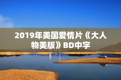 2019年美国爱情片《大人物美版》BD中字