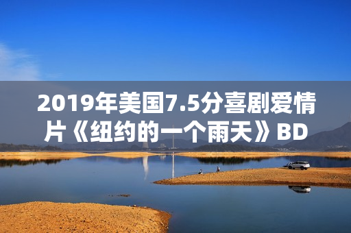 2019年美国7.5分喜剧爱情片《纽约的一个雨天》BD中字