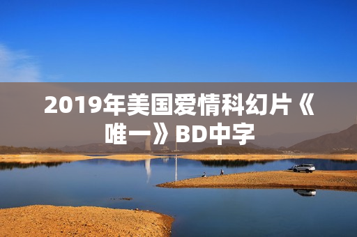 2019年美国爱情科幻片《唯一》BD中字