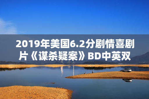 2019年美国6.2分剧情喜剧片《谋杀疑案》BD中英双字