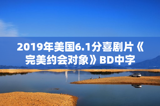 2019年美国6.1分喜剧片《完美约会对象》BD中字