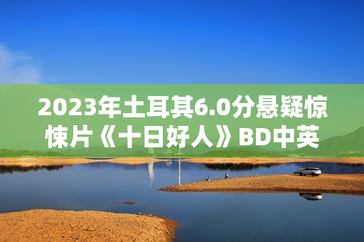 2023年土耳其6.0分悬疑惊悚片《十日好人》BD中英双字