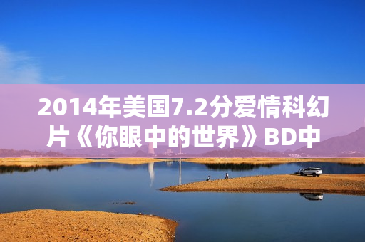 2014年美国7.2分爱情科幻片《你眼中的世界》BD中英双字