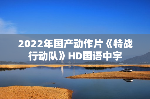 2022年国产动作片《特战行动队》HD国语中字