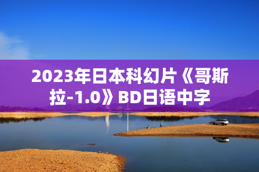 2023年日本科幻片《哥斯拉-1.0》BD日语中字