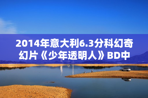 2014年意大利6.3分科幻奇幻片《少年透明人》BD中英双字