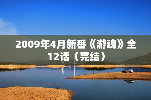 2009年4月新番《游魂》全12话（完结）