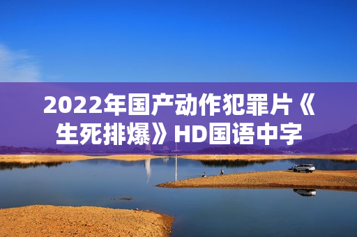 2022年国产动作犯罪片《生死排爆》HD国语中字