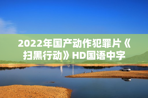 2022年国产动作犯罪片《扫黑行动》HD国语中字
