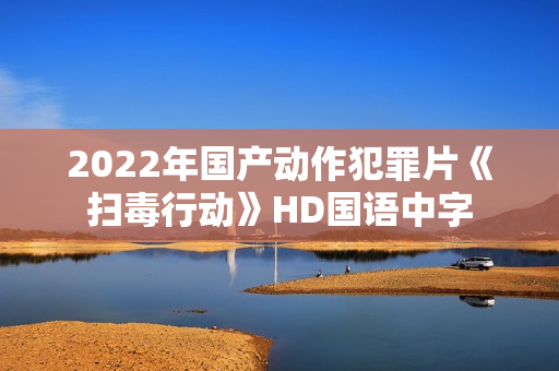 2022年国产动作犯罪片《扫毒行动》HD国语中字