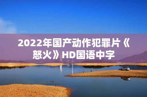 2022年国产动作犯罪片《怒火》HD国语中字