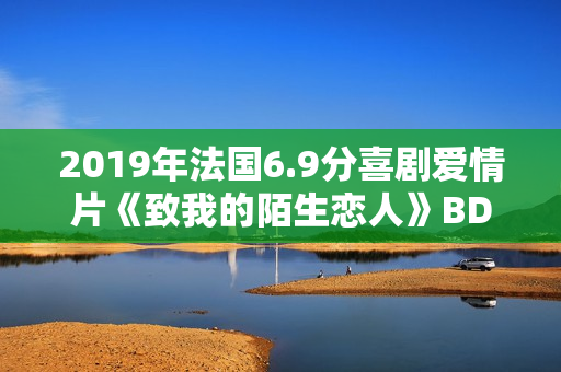 2019年法国6.9分喜剧爱情片《致我的陌生恋人》BD中字