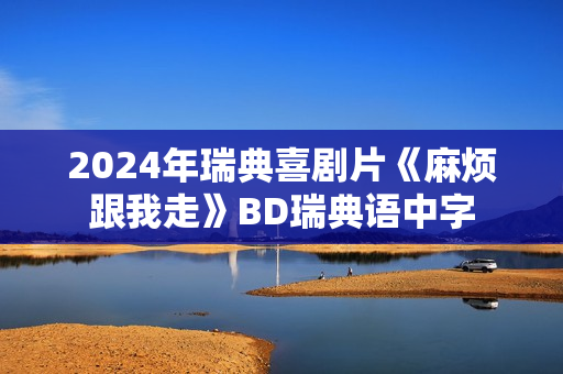 2024年瑞典喜剧片《麻烦跟我走》BD瑞典语中字