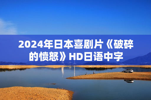 2024年日本喜剧片《破碎的愤怒》HD日语中字