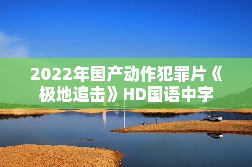 2022年国产动作犯罪片《极地追击》HD国语中字