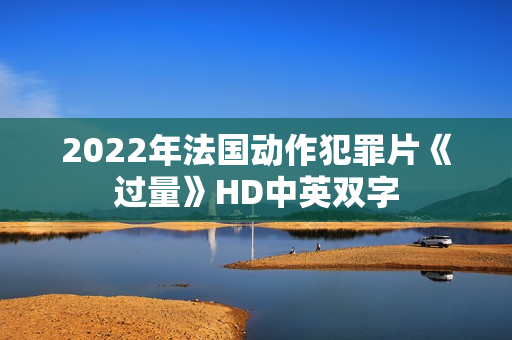 2022年法国动作犯罪片《过量》HD中英双字