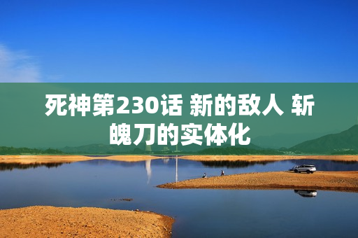 死神第230话 新的敌人 斩魄刀的实体化