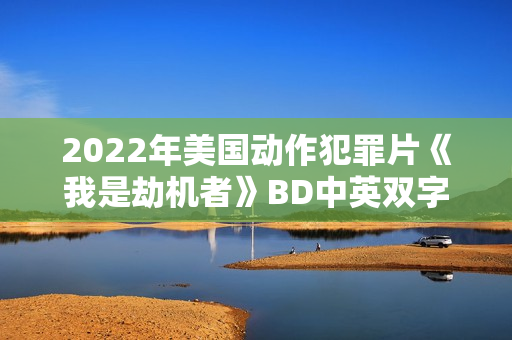 2022年美国动作犯罪片《我是劫机者》BD中英双字