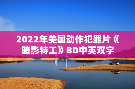 2022年美国动作犯罪片《暗影特工》BD中英双字