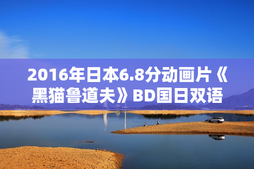 2016年日本6.8分动画片《黑猫鲁道夫》BD国日双语中字