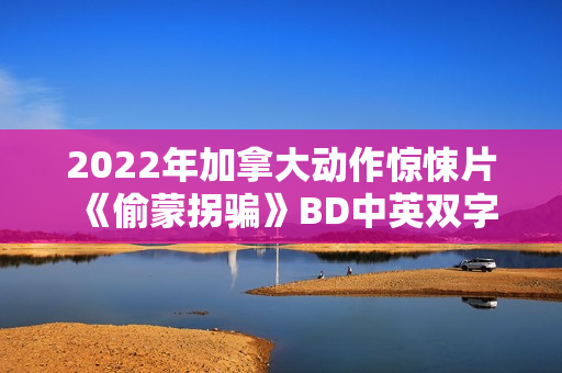 2022年加拿大动作惊悚片《偷蒙拐骗》BD中英双字