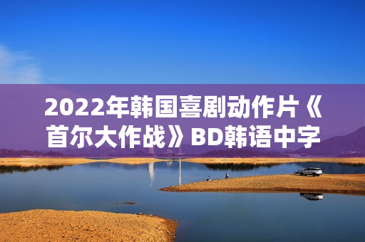 2022年韩国喜剧动作片《首尔大作战》BD韩语中字
