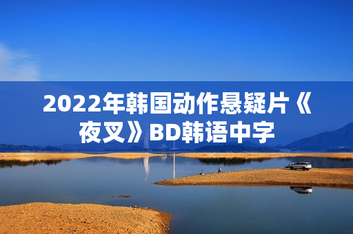 2022年韩国动作悬疑片《夜叉》BD韩语中字