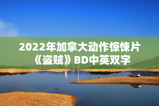 2022年加拿大动作惊悚片《盗贼》BD中英双字