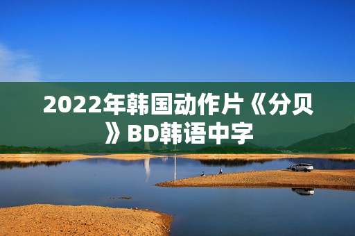 2022年韩国动作片《分贝》BD韩语中字