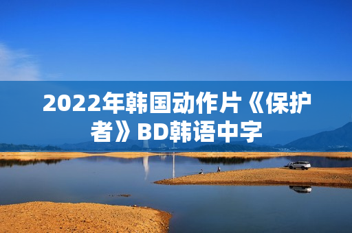 2022年韩国动作片《保护者》BD韩语中字