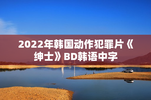 2022年韩国动作犯罪片《绅士》BD韩语中字