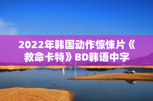 2022年韩国动作惊悚片《救命卡特》BD韩语中字
