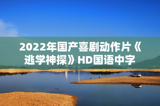 2022年国产喜剧动作片《逃学神探》HD国语中字