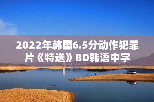 2022年韩国6.5分动作犯罪片《特送》BD韩语中字