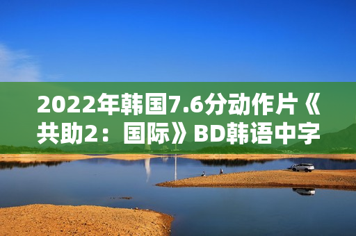 2022年韩国7.6分动作片《共助2：国际》BD韩语中字