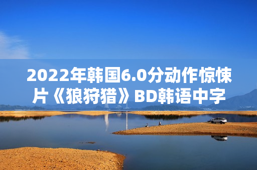 2022年韩国6.0分动作惊悚片《狼狩猎》BD韩语中字