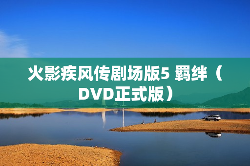 火影疾风传剧场版5 羁绊（DVD正式版）