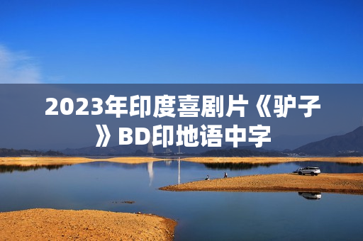 2023年印度喜剧片《驴子》BD印地语中字