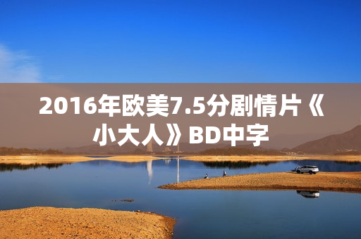 2016年欧美7.5分剧情片《小大人》BD中字