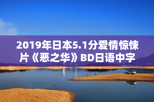 2019年日本5.1分爱情惊悚片《恶之华》BD日语中字