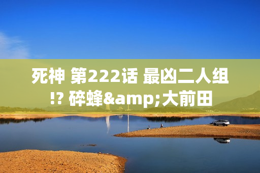 死神 第222话 最凶二人组!? 碎蜂&大前田