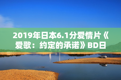 2019年日本6.1分爱情片《爱歌：约定的承诺》BD日语中字
